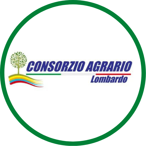 Progetto senza titolo (10) (1)