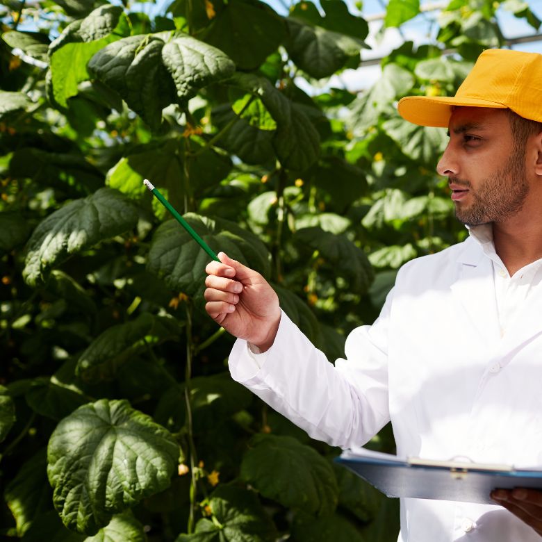 agroforniture