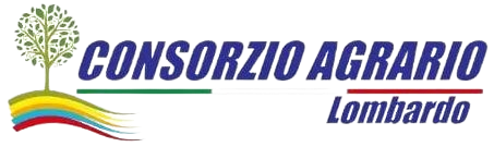 logo_consorzio-removebg-preview (1)